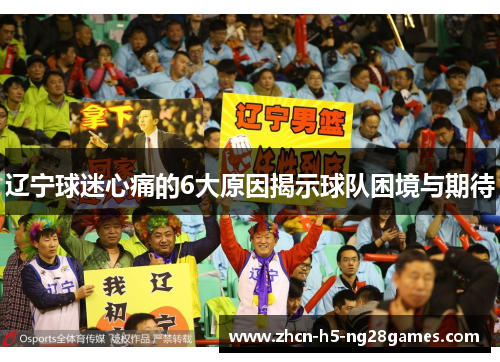 辽宁球迷心痛的6大原因揭示球队困境与期待