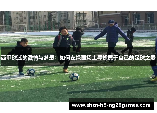 西甲球迷的激情与梦想：如何在绿茵场上寻找属于自己的足球之爱