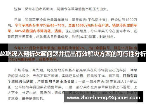 赵鹏深入剖析欠薪问题并提出有效解决方案的可行性分析
